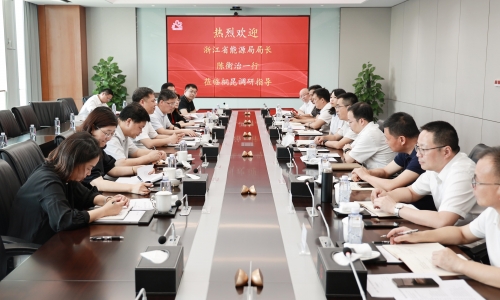 浙江省能源局局長(zhǎng)陳衡治蒞臨桐昆調(diào)研