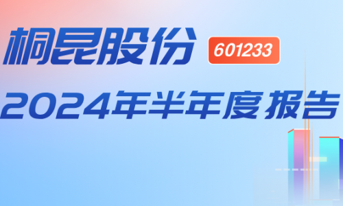 歸母凈利潤(rùn)同比增長(zhǎng)911.35%！桐昆股份發(fā)布2024年半年報(bào)